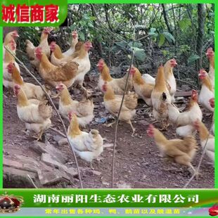 ���S���u����w����������l�r��ɢ�B���u�\ݔ���ɻ����M�ṩ���g