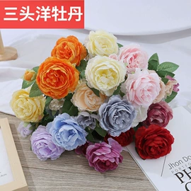 仿真藤条;仿真花;仿真绿植