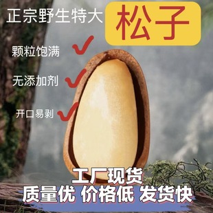 �S�����l�|�������_���ք����ѹ��b���w��������؛�Թ��^����ʳ