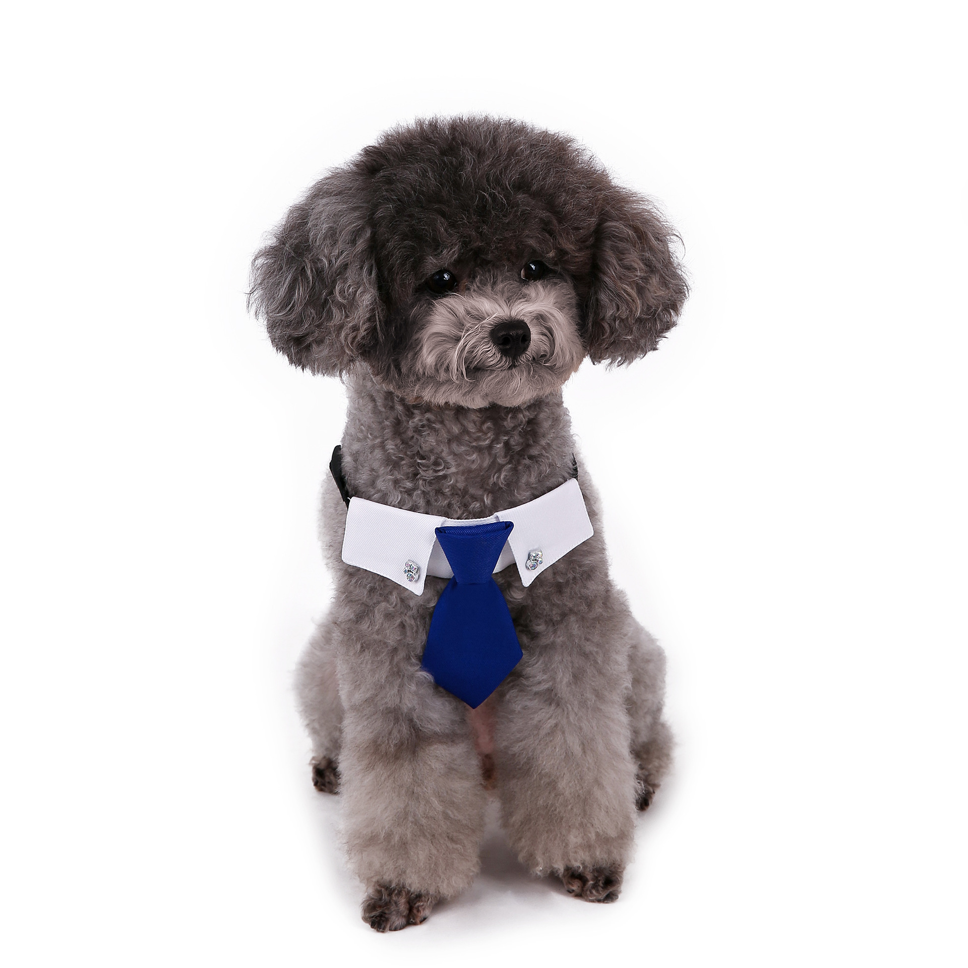 Perro transfronterizo estilo británico guapo traje de boda ropa de perro corbata collar decoración al por mayor