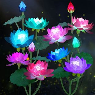̫���3�^�ɻ����߲ʝu׃������滨���b�ͥԺ���@��ƺ���^��