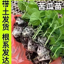 ����߮a�������Ͽ�ϷN���玧�����������G�߲�����ⶬ����