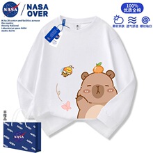 NASA�ɐۿ�Ƥ���������L��t��2025���＾�¿��д�ͯ��ͨ���e����