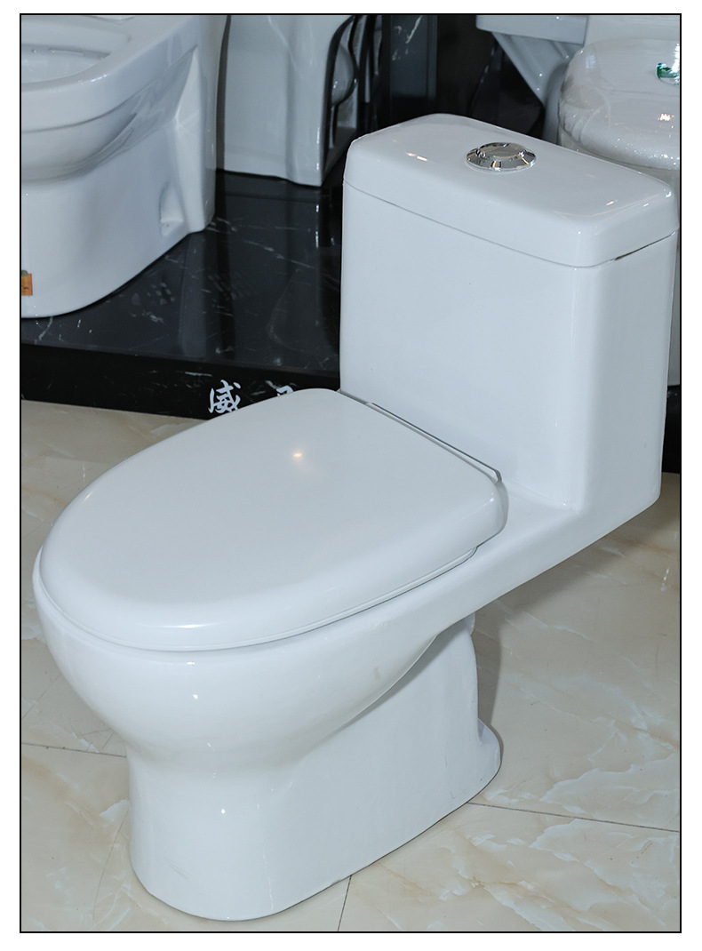 Rear toilet wall drainage toilet project toilet seat undefined