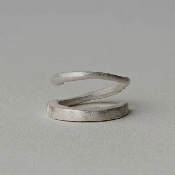 Dong Jie S925 Silver Plated Gradient Double Ring, Niche Design, Handmade Frosted Texture, Twisted Double-Layer Ring