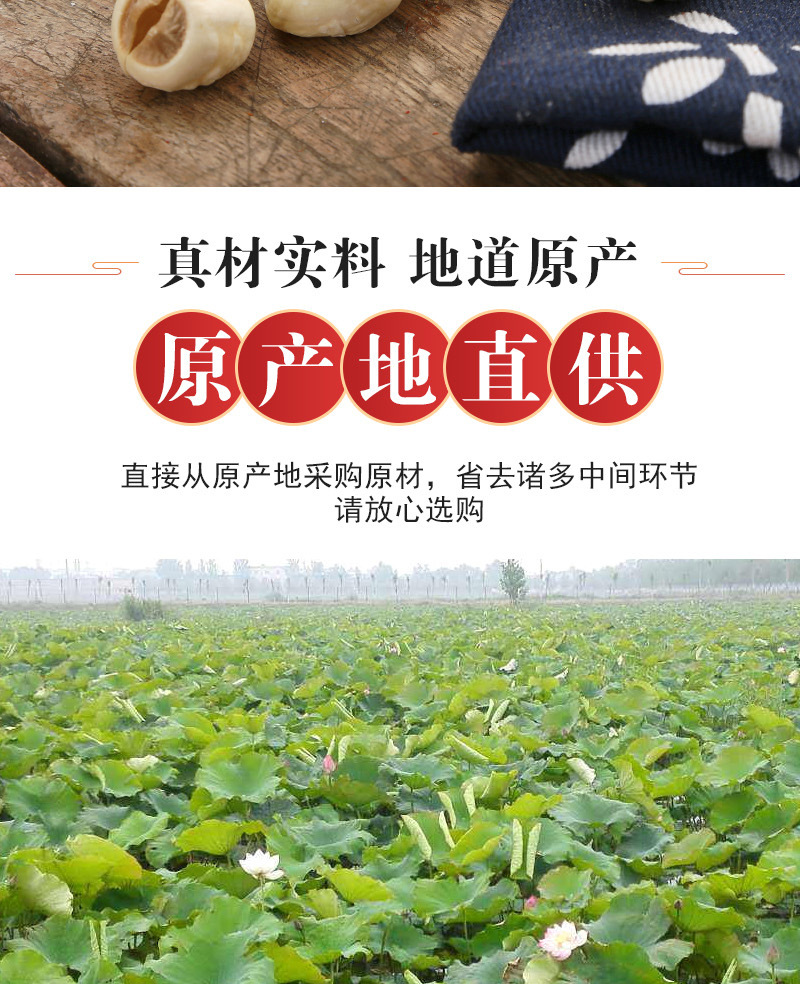 Lotus Seed (Nelumbo nucifera) — Sulfur-Free White Lotus Seeds, Core-Removed, 500g Dried Food Herb quality and texture