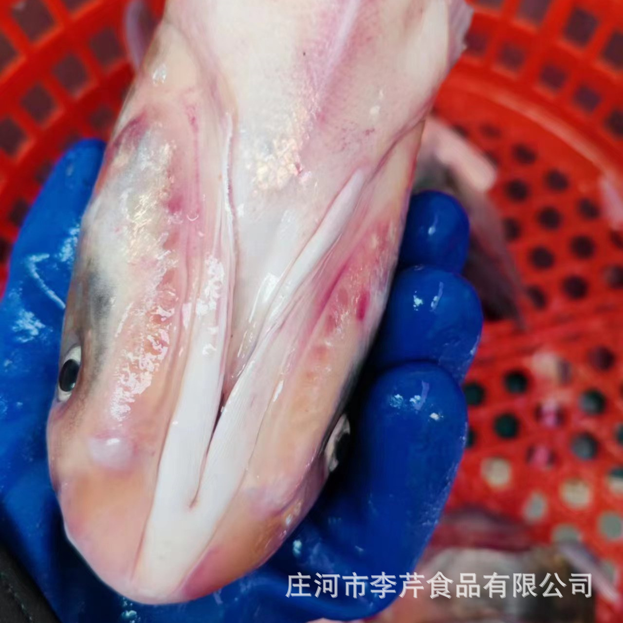 微信图片_20230124173318