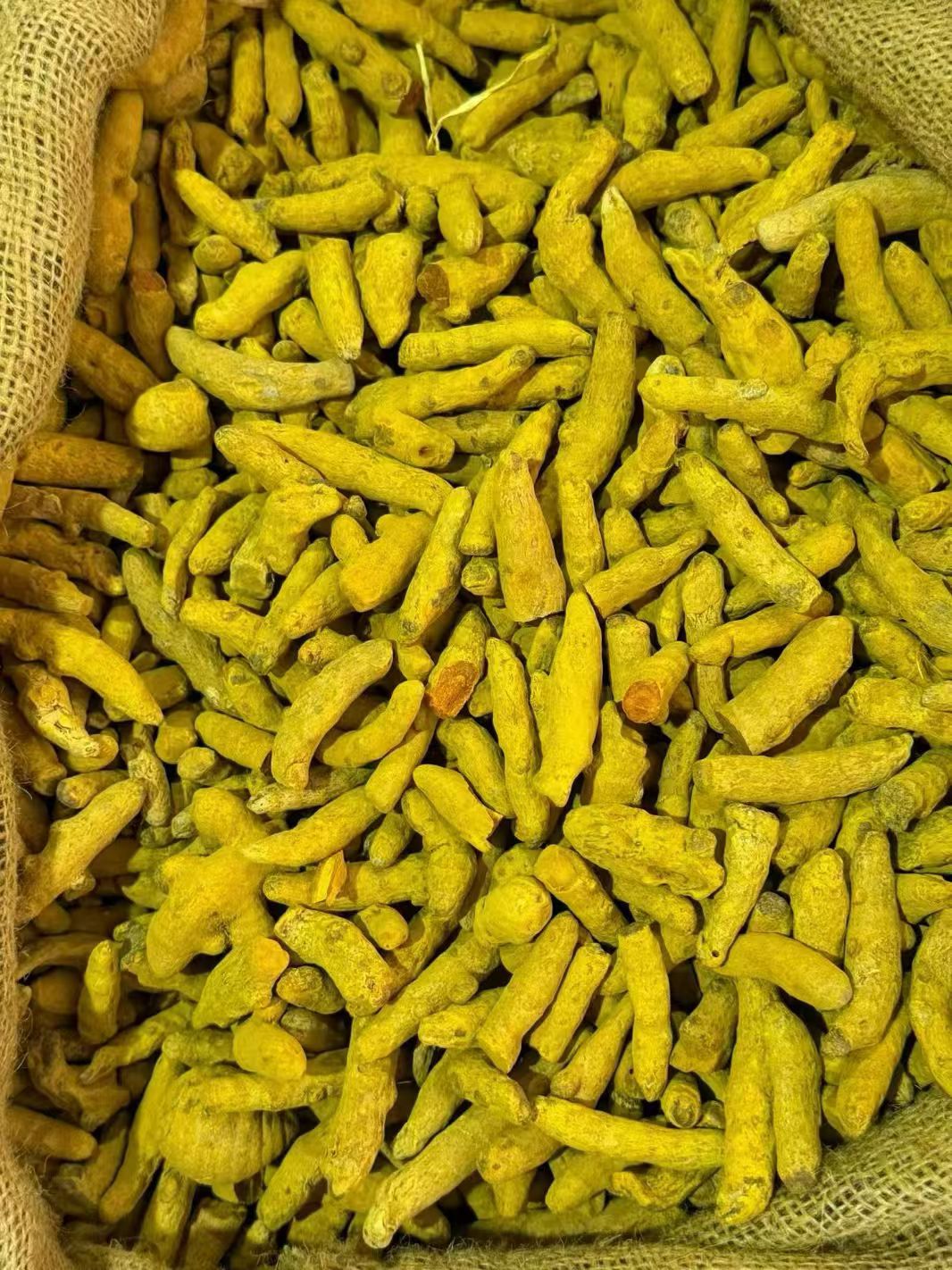 Dried Turmeric Root Slices Jiang Huang 500g Sulfur-Free Sichuan Herb for Decoction and Culinary Use key features
