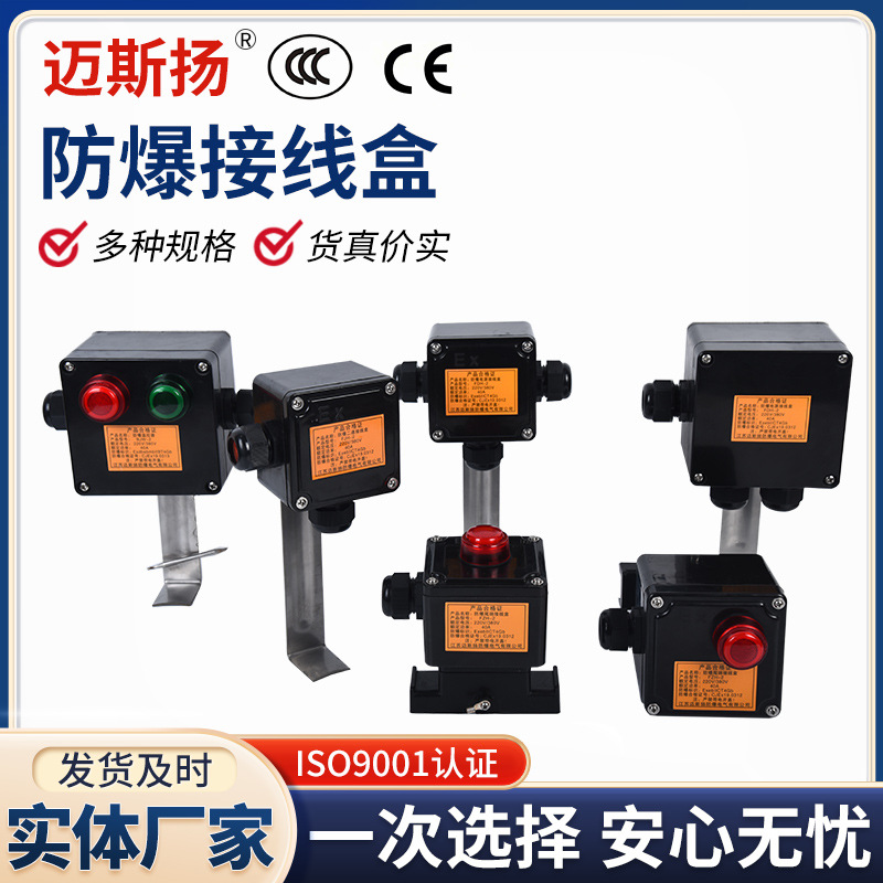 电伴热带带指示灯接线盒  带灯电源接线盒电伴热带带灯防爆温控器