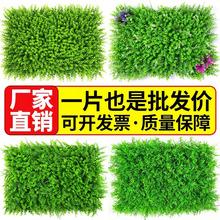 ����ֲ���ƺ�Gֲ���b������ƺ�҃ȱ��������ϼ����m��Ƥ�b�