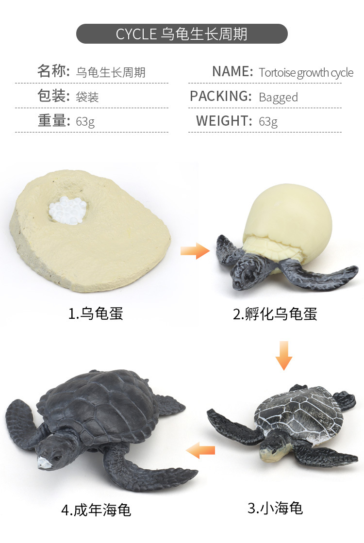 生长周期内页_06