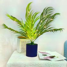 羳LEDСҹֲ辰Ҿ^bʟ