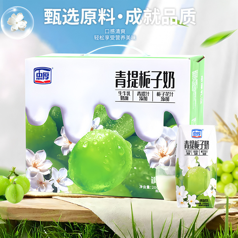 忠厚青提栀子牛奶整箱儿童营养早餐奶饮品/盒酸性乳饮料|undefined