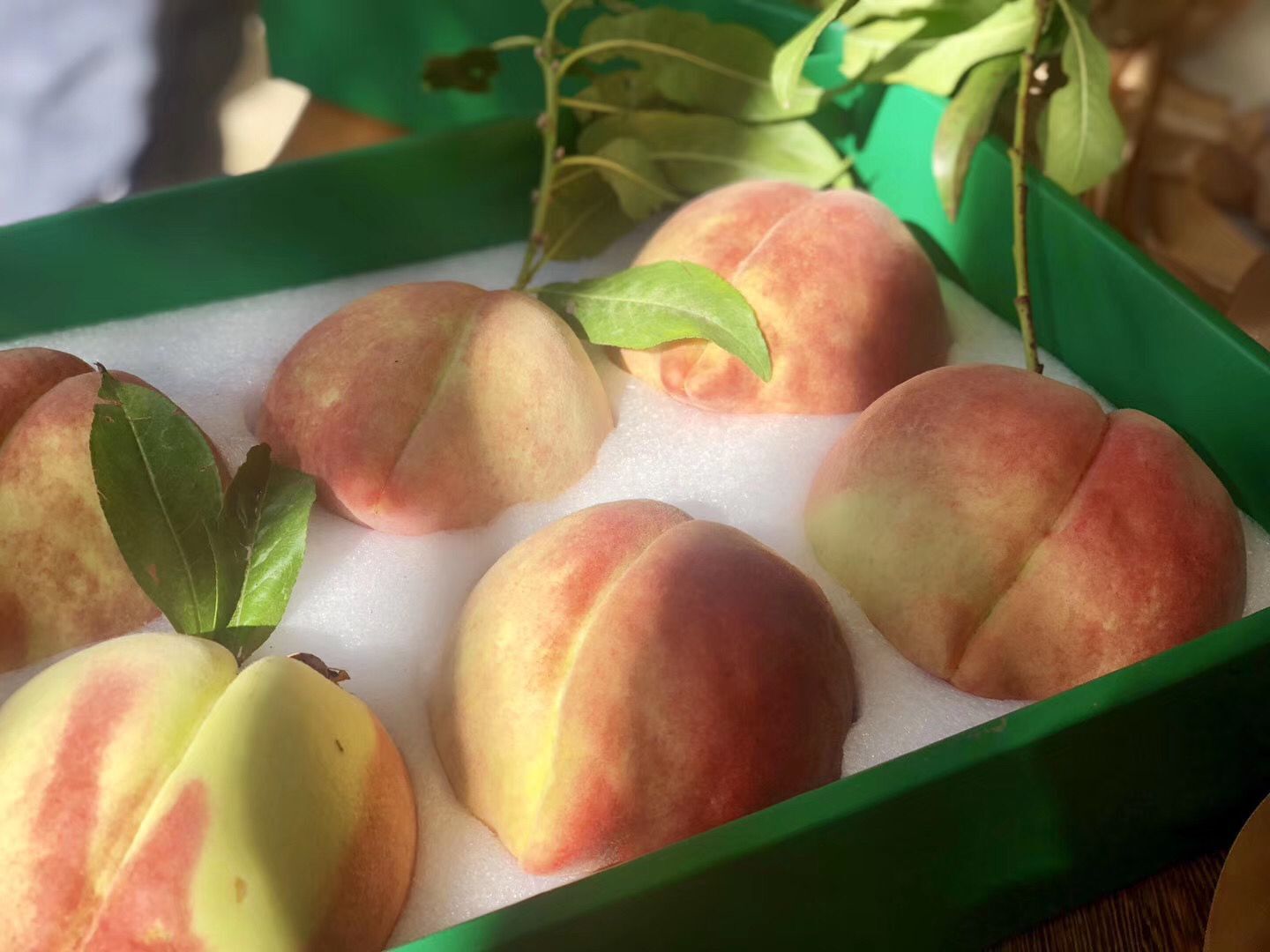 厂家供应白色珍珠棉桃子包装泡沫/李子包装缓冲泡沫