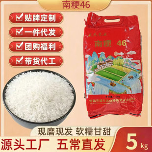 �������ڏS���N��������10���b �Ϲ�46���� �������׿ڸ�ܛŴʳ��