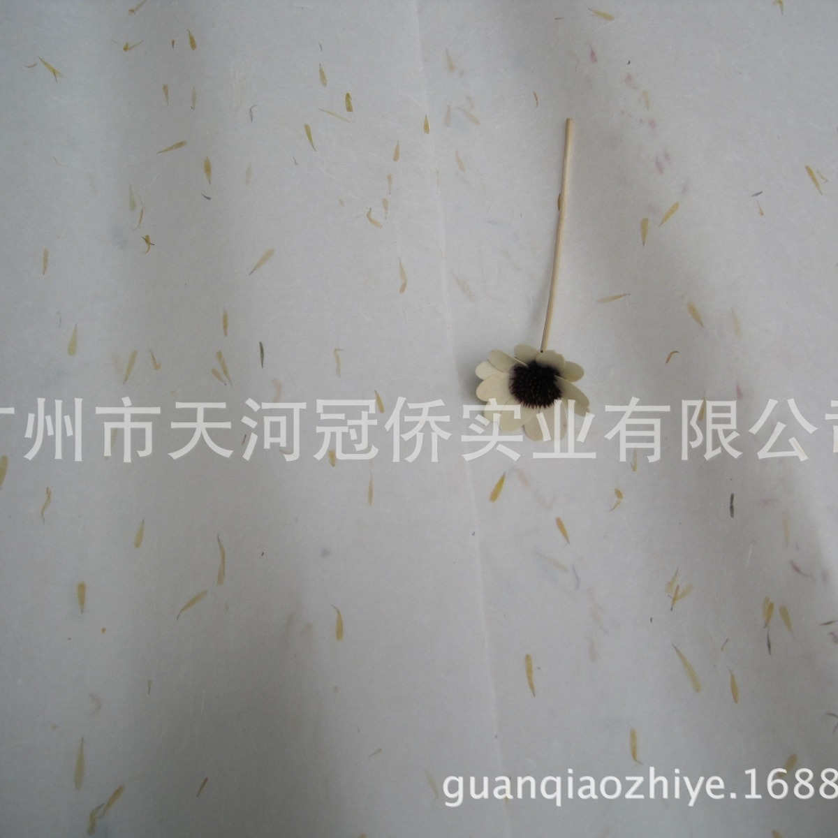 云龙宣纸、包装纸、内页纸、菊花瓣宣纸、