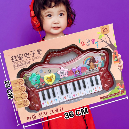 Fun Kids Small Piano Toy, Beginner Electronic Keyboard Toy with Lights, Playable for Kindergarten Girls, Gift
