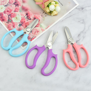 Stainless Steel Scissors Garden Pruning Branches Branch Scissors Box Landscape Greening Gardening Pruning Scissors Garden Tool Set