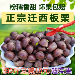 �����w�����������r���Ӱ�����������С�F��ë���Ӱ������l������