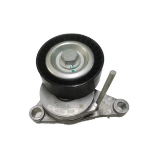 Logo 307 308 408 301 Sega Elysee 1.6 Generator Digital Pump Tension Wheel Hair 5751g7