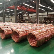 现货批发T2(1100)紫铜线H65黄铜线扁线铜线镀金镀银镀锡镀镍