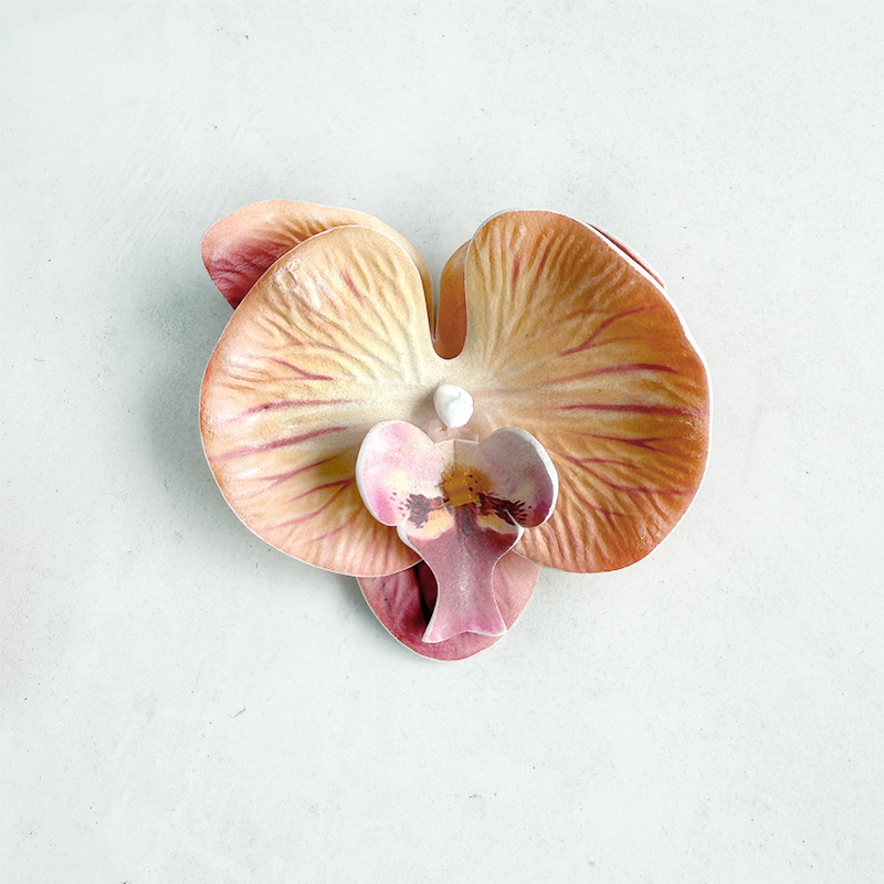 미디엄 에바 호접란-오렌지