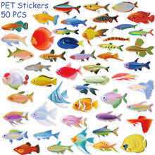 50�����������~�PET͸���N���Pӛ���������֙Cdiy���~�b��N��