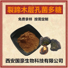 裂蹄木层孔菌多糖30% 裂蹄木层孔菌提取物 500克