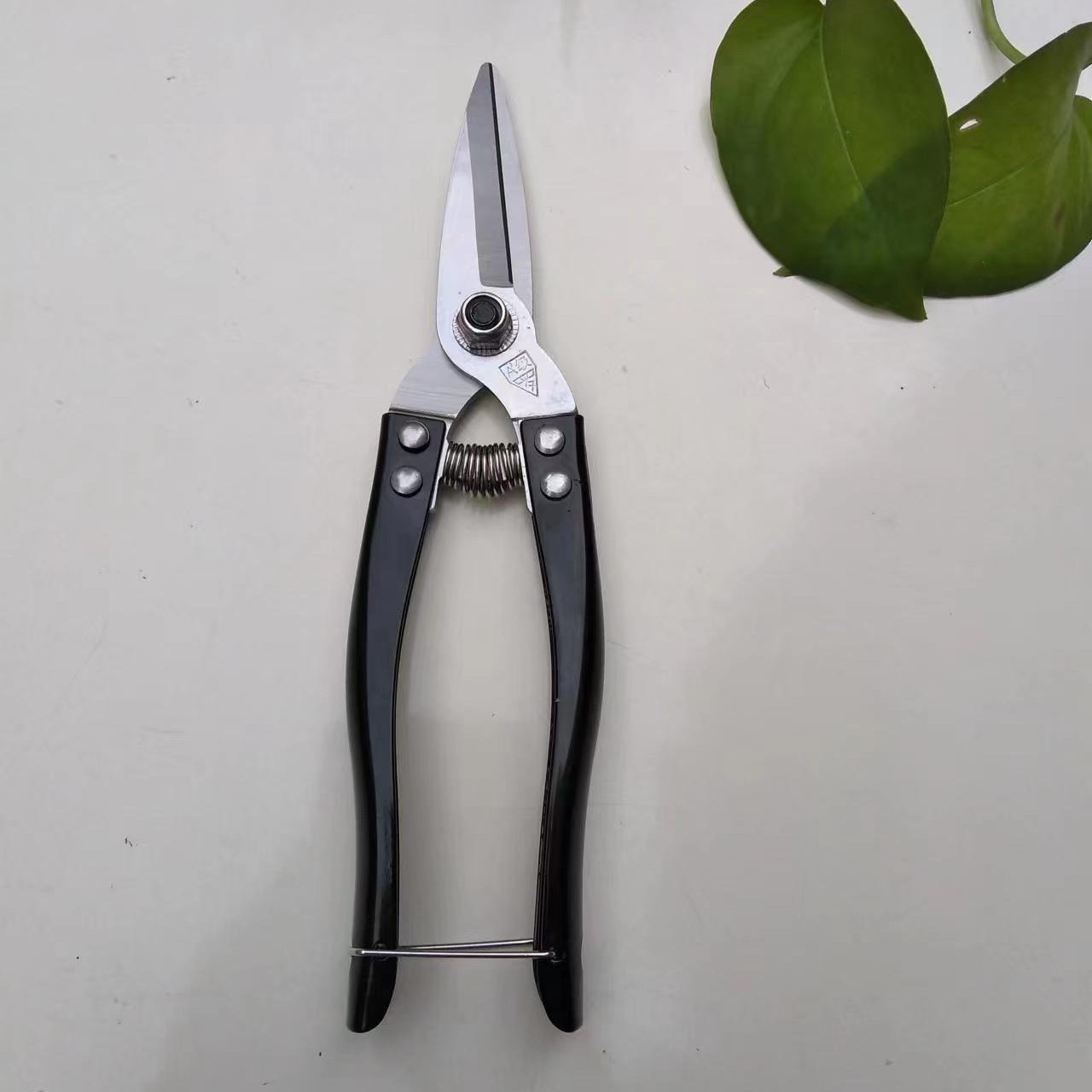Ciseaux noirs larges à double clou Luo Grade A, 19 cm