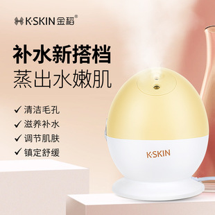 Golden Rice Face Steamer Steam Beauty Instrument Home Water Supplementing Artifact to Open Pore Heat Spray Cold and Hot Double Spray Face Steamer