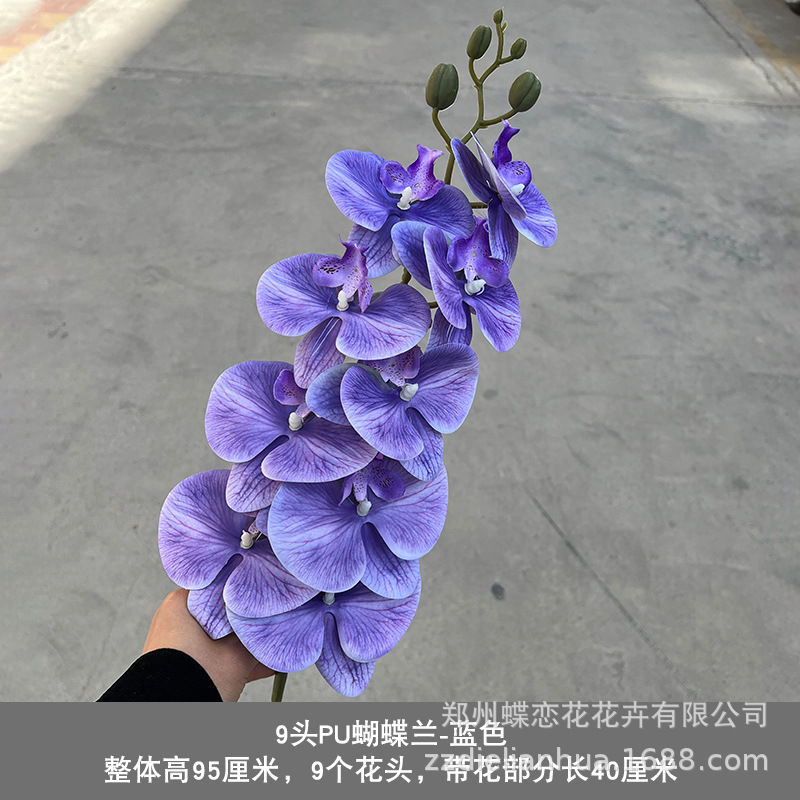 PU9 cabeza azul púrpura