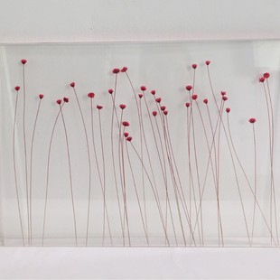 Acrylic built-in dried flower Acrylic dried flower specimen Acrylic buried dried flower Acrylic dried flower