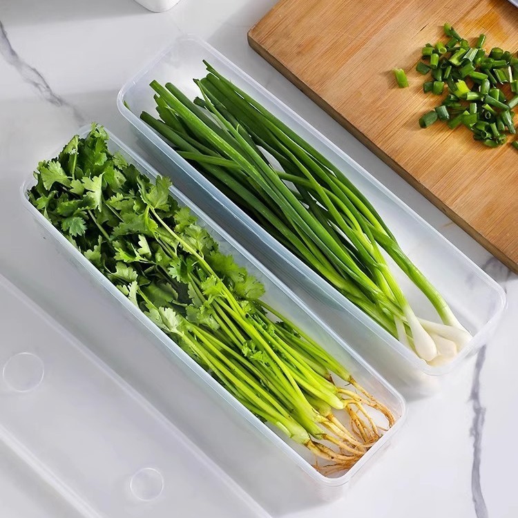 香菜小葱收纳盒冰箱细跟蔬菜保鲜面条鸡蛋备菜保鲜密封透明盒|undefined
