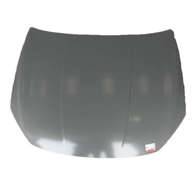 hood HAD-8402010A/70, Car shell