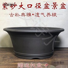 �ŷ��B�~�~����ɰ�o�׻����ش�̖�辰��45/60/70cm��ڏ�ˮ��̫��