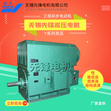 无锡先锋电机马达Y、YKS、YKK系列为高压鼠笼式异步电动机350kw