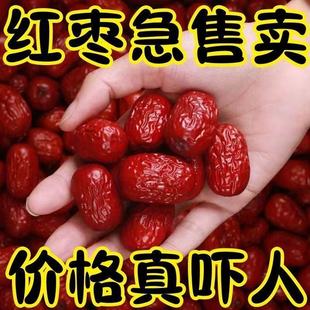 �����½���t���E���t���ɴ���ϴ�t����؛����t�������t��