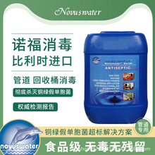水处理专用管道消毒杀菌抑菌剂食品级安全环保去除铜绿生物膜除菌