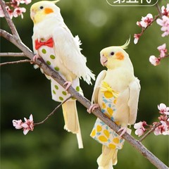 鳥は糞袋で飛行服を調節できます。