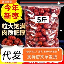 ���l�½������5���ؼ�5��t������ʳ�خa����ϴ�Ҝ��½���