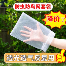 苹果套袋水果防鸟网纱袋瓜果防虫袋无花果枇杷葡萄桃子草莓保护袋