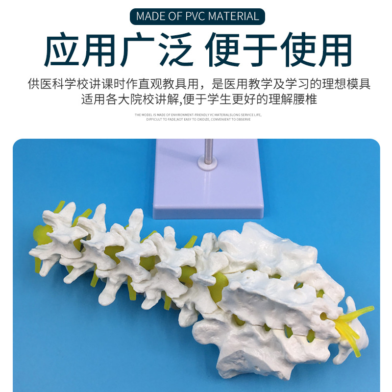 ��Ȼ�������׵��β׵ģ�� ������׵��β�Ǽ�׵����׵���� ��ʾ