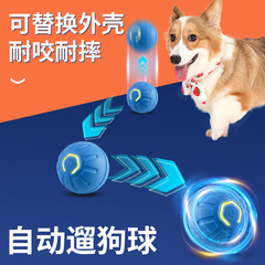 Cross-border automatic dog fetching ball pet toy ball durable bite self-entertaining pet dog fetching ball small dog gravity jumping ball