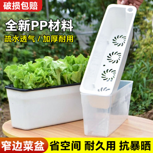 �Ԅ���ˮ����N�˷N���Nֲ���ͥ�̨���˻������ϷN����G�}����