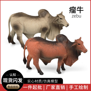 �羳������ţģ�̓�ͯ�J֪����Ұ����ţ���������r�����z��ߔ[��