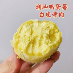 ���Ƿ����r�����r�ԷN�F�ڰ�Ƥ�S�İ����t����Ŵ�����u��Ʒ�N�ع�