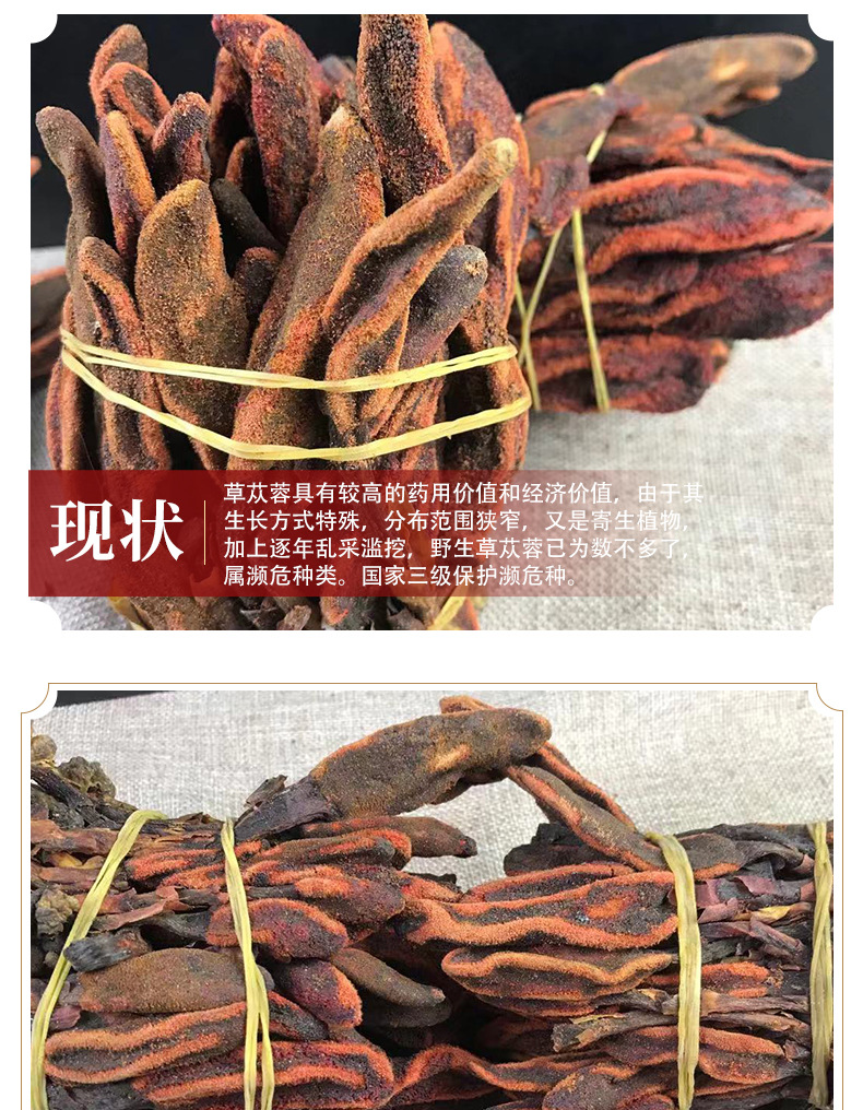 Hui Chun Cao Dried Herb 500g Wild-Crafted Yunnan Herb for Wine Infusion and Decoction key features