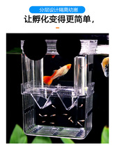 孔雀鱼繁殖盒鱼缸隔离产卵孵化鱼苗小鱼鱼隔离器凤尾鱼亚克力下崽