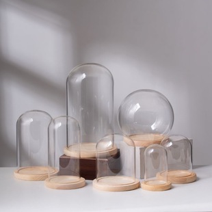 Preserved Flower Glass Cover Transparent Display Box Doll Christmas Tree Building Blocks Hand Mold Desktop Blind Box Dried Flower Ornaments
