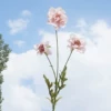 Light pink 032